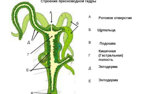 Kraken наркотики сайт