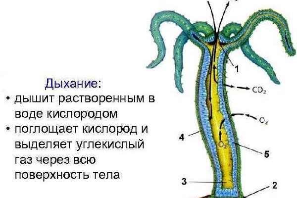 Кракен маркетплейс kr2web in площадка торговая