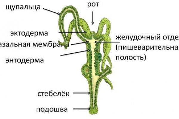 Сайт krn